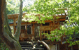 ログコテージ 茶臼の森 